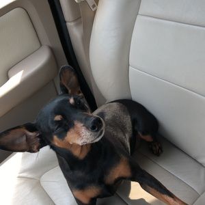 Meet your Posher, Christy